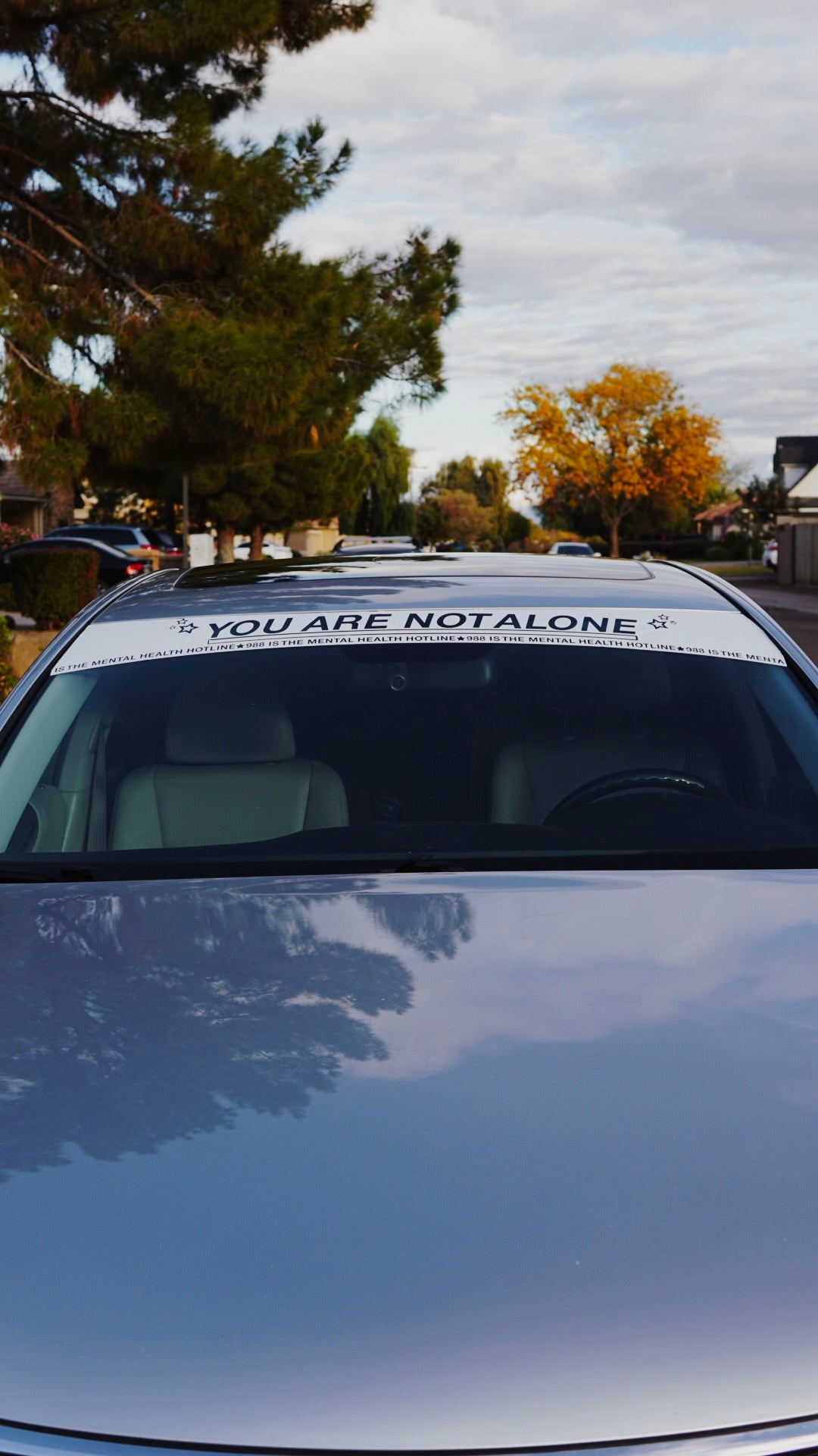 You are not alone Sun Strip