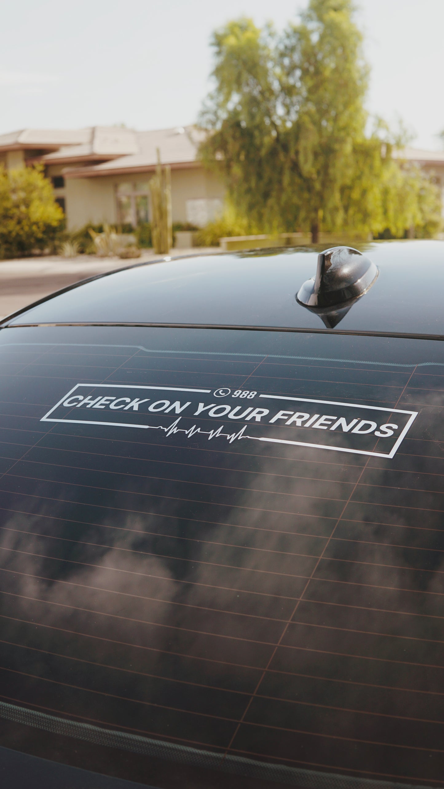 Check on your friends rear banner