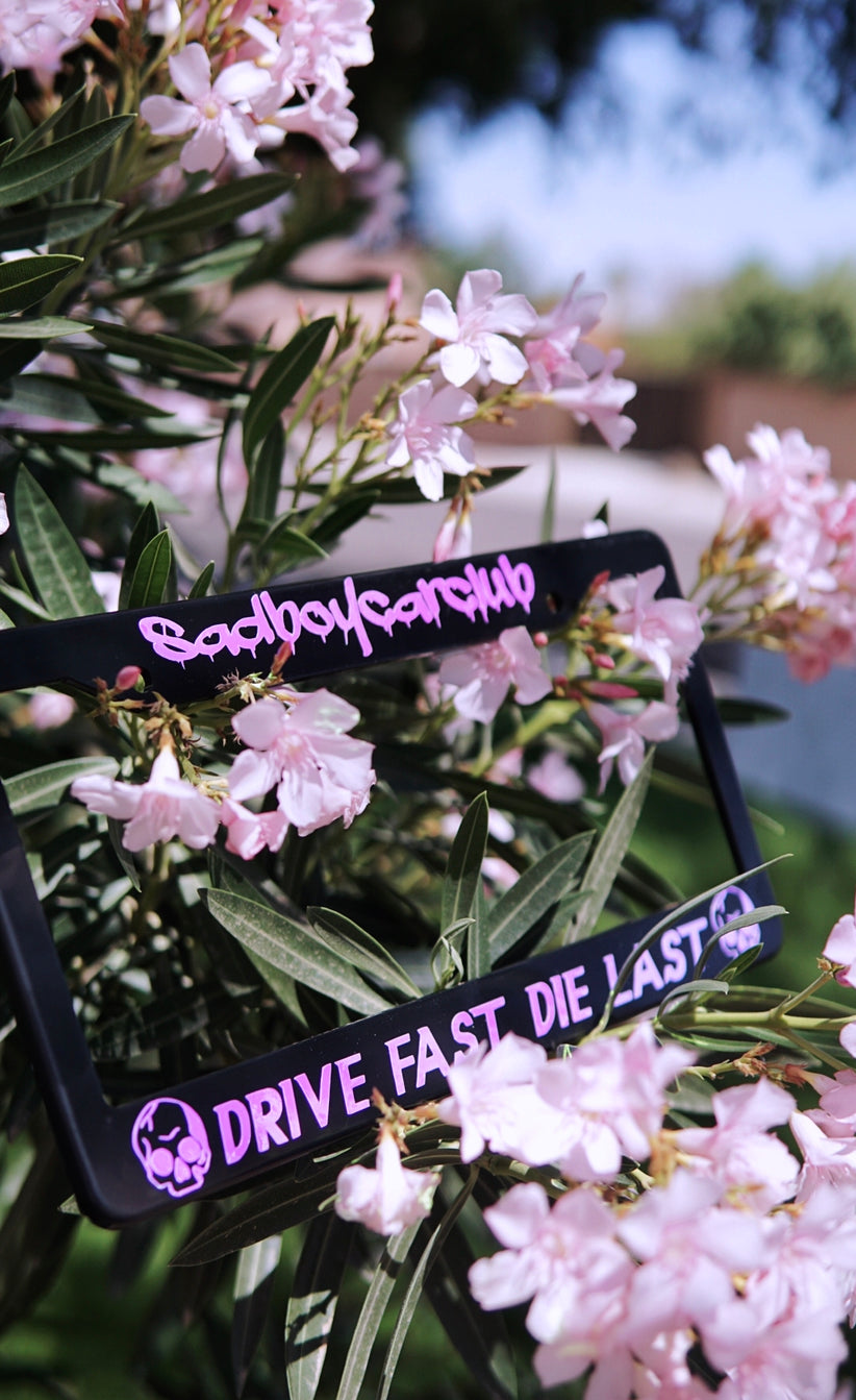 drive fast die last license plate frame
