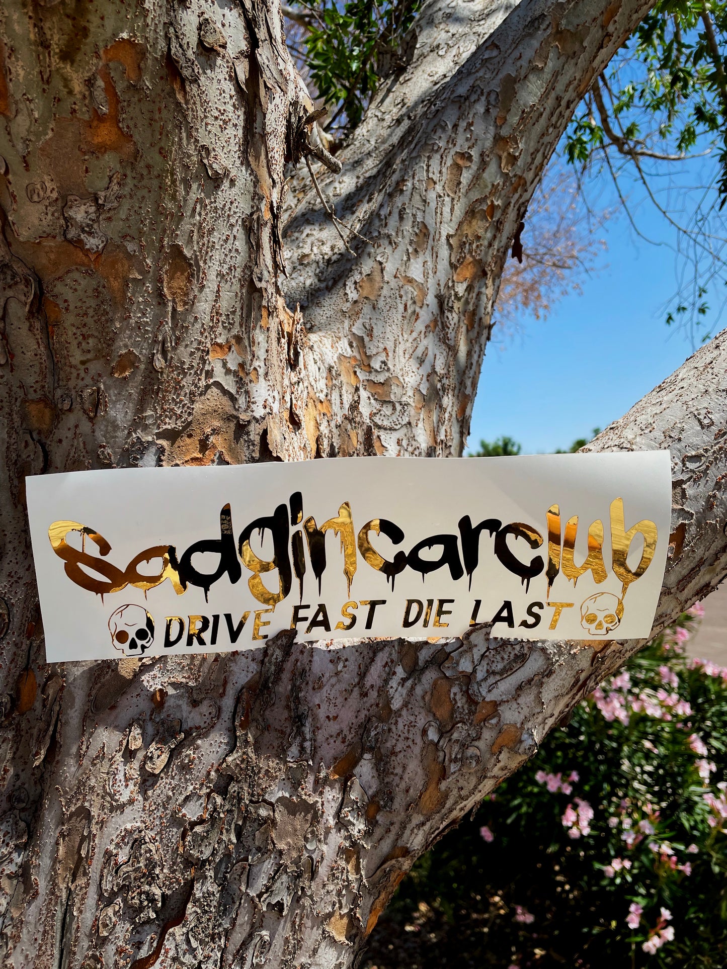 sadgirlcarclub drive fast die last mini banner