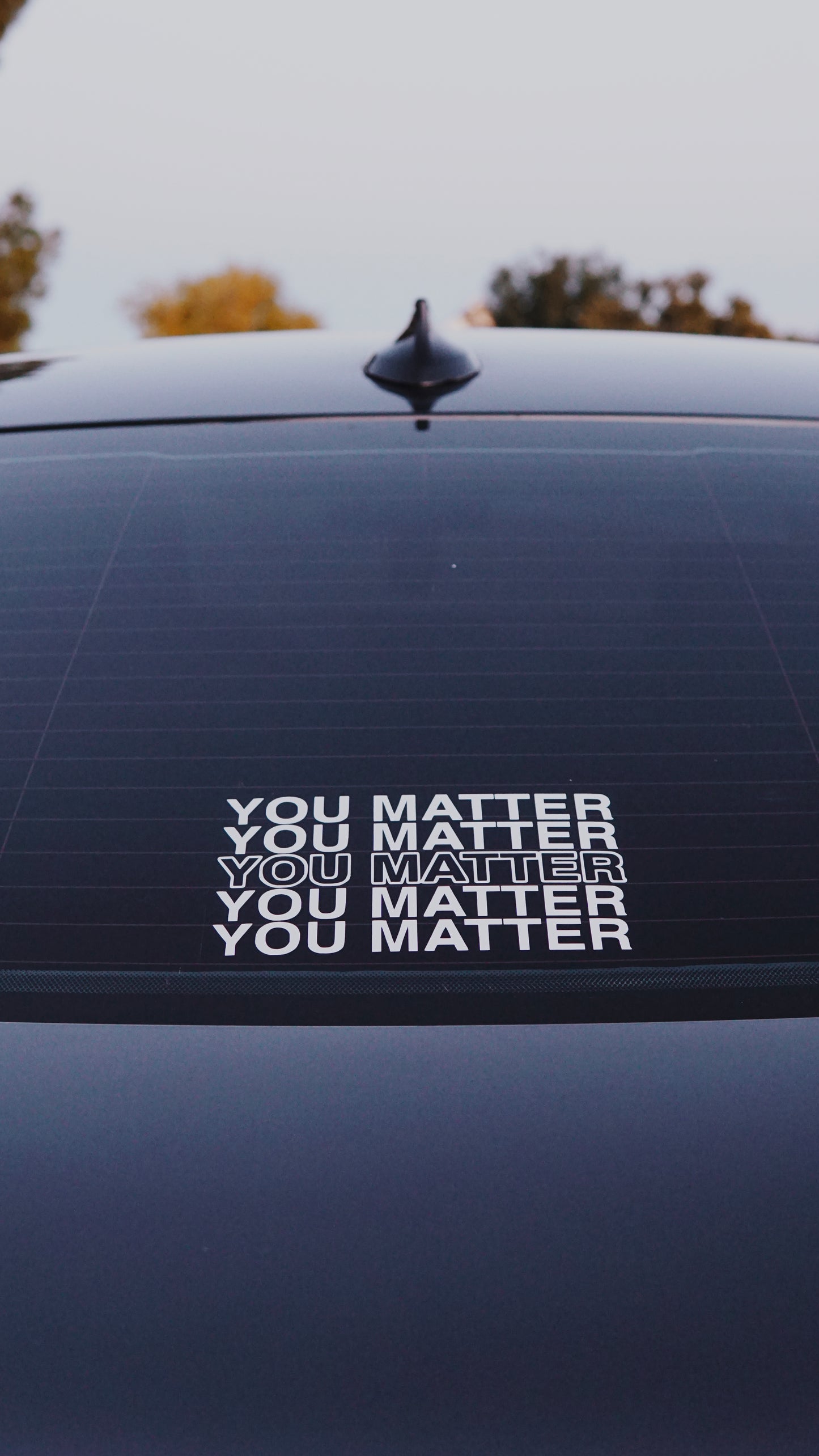 YOU MATTER YOU MATTER YOU MATTER