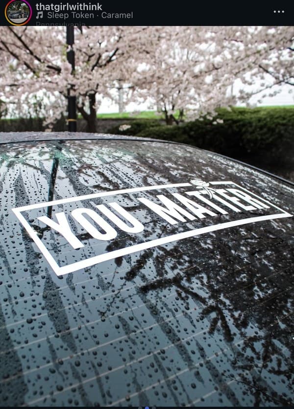 You Matter sticker on car roof with cherry blossoms