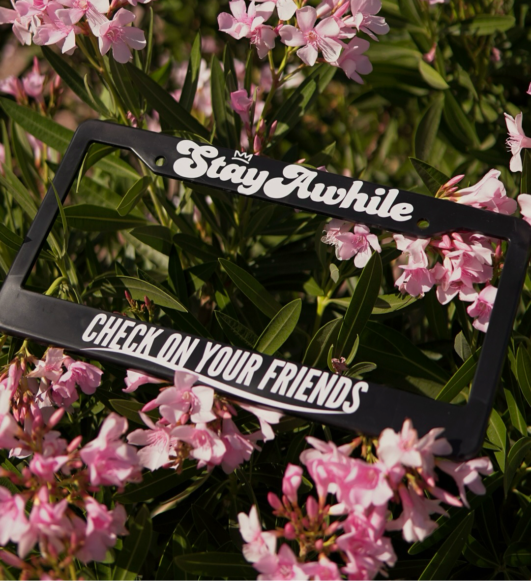 StayAwhile License Plate Frame