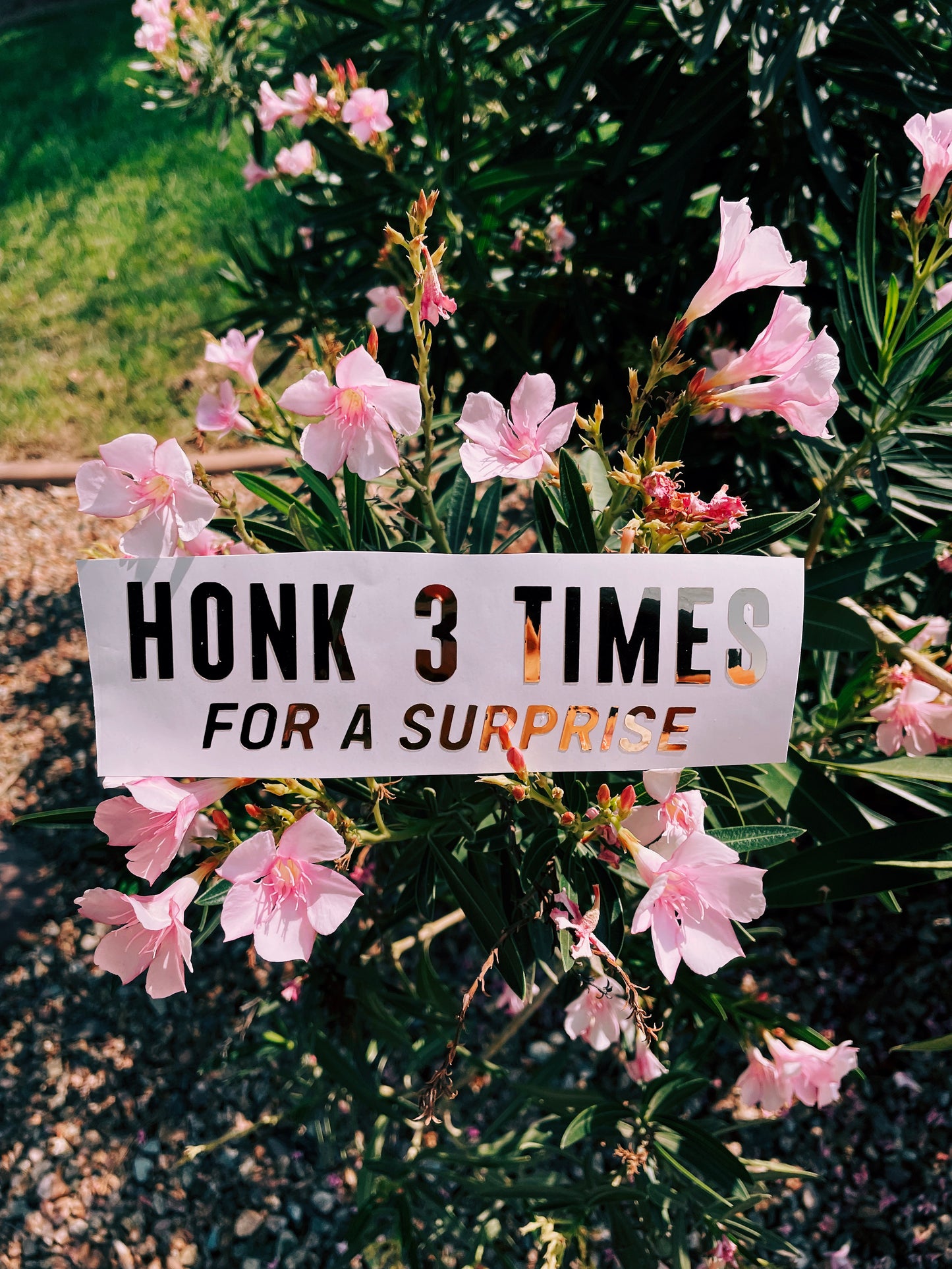 Honk 3 times for a surprise
