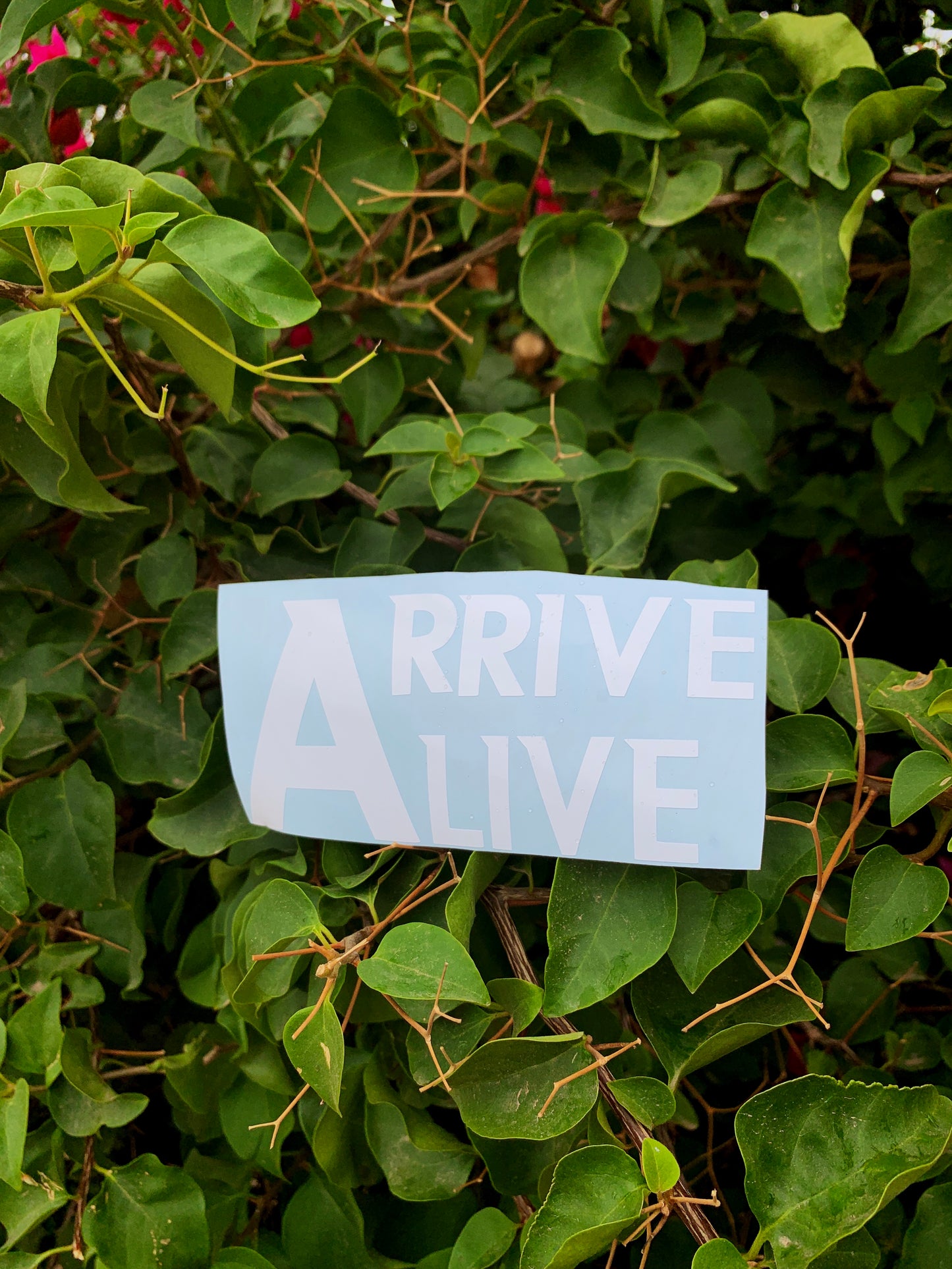 Arrive alive